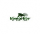 Bonsai Boy