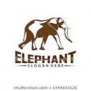 Elephant Academy (Link Expire)