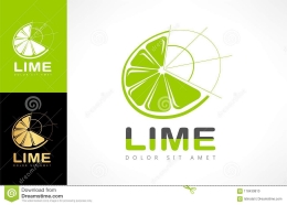 LIME(Link Expire)